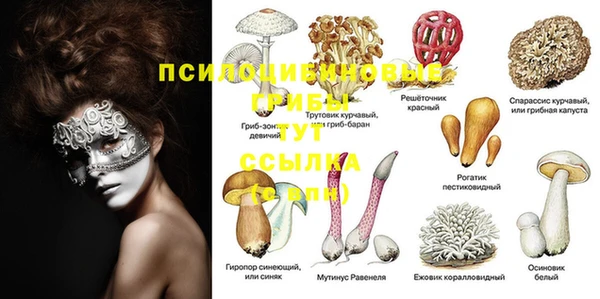 гашиш Володарск
